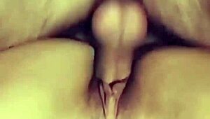dick races ass sperm - speedyfucker vs thumper, who's faster? drop your comment below