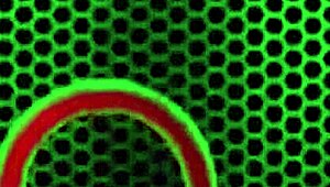 oh sa jay's huge pussy lips n big tits get licked by mature milf