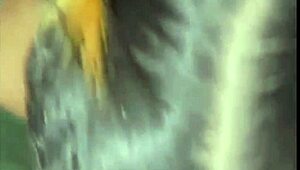 😏 culona latina takes young stud to motel teaches him to fuck hard! 💦🍑