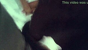 naughty arab wife gets her ass pounded hard by swingers for her sinful ways