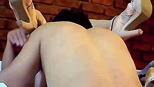 my heart races screaming as i keep fucking this sexy latina housewife slut