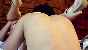 my heart races screaming as i keep fucking this sexy latina housewife slut