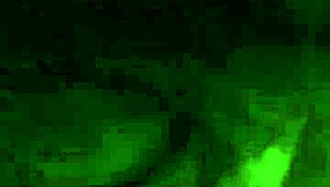 arabic wife deepthroats monster cock rides rough creampie screaming