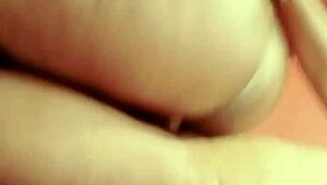 Sundaydogood614 drops update 644 with vid 20241129 190420 from Nov 29 2024 📹✨