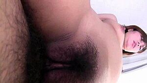 Japanese cougars, ready for wild creampie and swallow action?