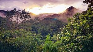 hey mommy wet forest night got us so horny for anal creampie doggystyle 😏🌲💦