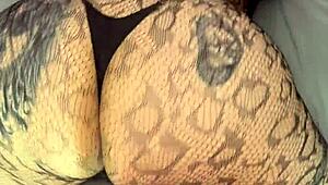 argentinian big ass girl takes huge facial cumshot with tons of semen dripping