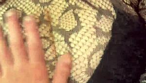 argentinian big ass girl takes huge facial cumshot with tons of semen dripping