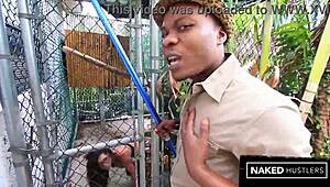 kitty in bbc cage gets bent over for hardcore interracial pounding on her big juicy pussy and ass