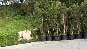 hey nicole banks how's that big black cock feel bareback in your milf ass to mouth?