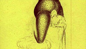 WOW Top TWENTY Vintage Erotic Drawings That Expose Raw Nude Lust!