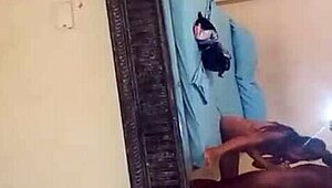 Wife sucks stranger bareback deep while happy cuckold cheers her on wildly.