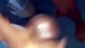 Wife sucks stranger bareback deep while happy cuckold cheers her on wildly.
