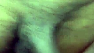 Wife sucks stranger bareback deep while happy cuckold cheers her on wildly.