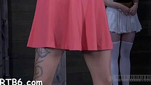 taming that leather pet takes some real control