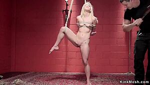 gagged tiny titted blonde bound and hogtied for brutal anal dildo punishment