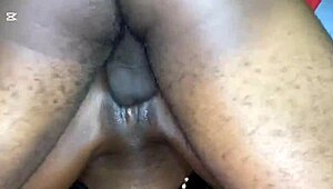 cute ebony bbw grinch vera love spreads juicy fat pussy for big black cock quickie sex tape at christmas