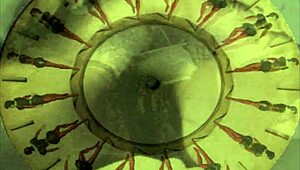 Hairy Beaver Seduction in Steamy Vintage Erotic Scenes Unleashed