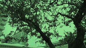 A cute young japanese wife cheats with huge tits affair fun