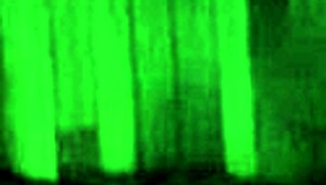 oh god big ass gamer girl gets her tight hole pounded rough in cosplay taboo sex