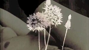 Discovering VINTAGE erotic drawings in antique style