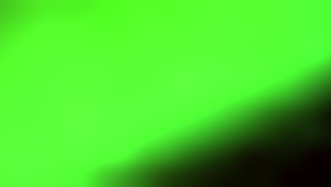 Don't you love hearing my loud neighbor's moans echoing? 