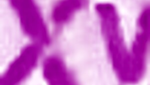 damn ambitious actress kitt jones takin brutal anal ass-to-mouth just for the gig. heels ripped off mid-pound