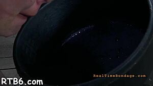 How Wild Can This Beauty's Shaved Cunt Get Castigated?!