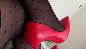 rose want you stroking my sexy stockings and heels legs baby?