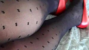 rose want you stroking my sexy stockings and heels legs baby?