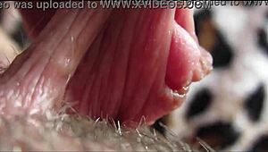 my huge clit pulses to intense closeup orgasm