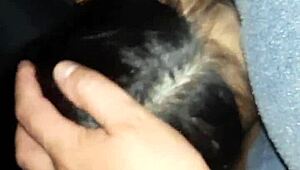 our neighbor's wet hairy pussy gets licked n fucked hard in the barn secret