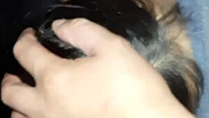 our neighbor's wet hairy pussy gets licked n fucked hard in the barn secret
