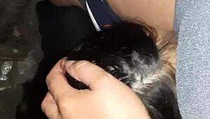 our neighbor's wet hairy pussy gets licked n fucked hard in the barn secret