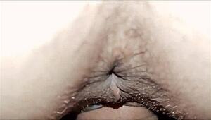 peek at this cute couple's home anal collection with her natural tits bouncing close-up