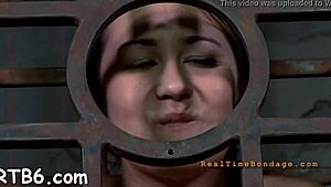 damn, four bound sluts crammed in a tiny cage take rough cock pounding from every angle