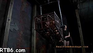damn, four bound sluts crammed in a tiny cage take rough cock pounding from every angle