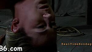 damn, four bound sluts crammed in a tiny cage take rough cock pounding from every angle