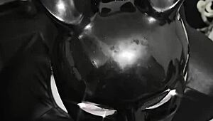 horror porn happy halloween bbw milf babysitter anal creampie casting orgy