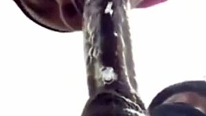 close up deepthroat blowjob gets super sloppy with cum in mouth