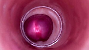 close-up female insemination as internal cam catches fat cock blasting deep cum into swollen tight pussy