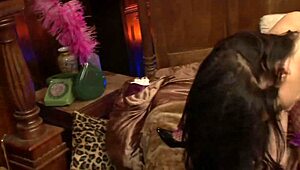Horny brunette lesbians Ella Mai Chloe Dee gape pussies toys