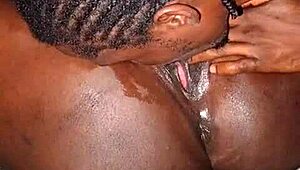 shaved pussy sucked then fucked by bbc