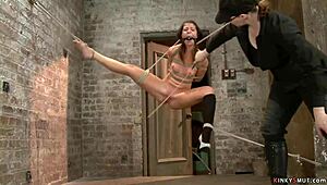 brunette's ass gets fingered deep in hogtie... ouch!