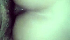 kimberly pratts facebook travesti shemale crossdresses for boyfriend's hard fuck session