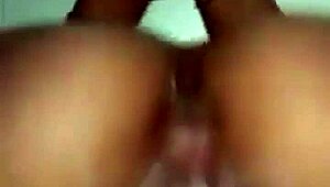 Straight doggy entry with ass shaking and riding