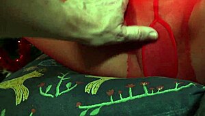 Laura Gives Christmas Pantyhose Blowjob Present