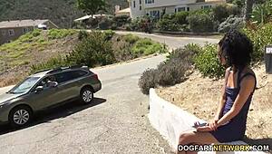 stranger fucks skinny ebony jada doll hard